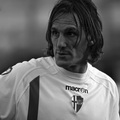 2007-08 Zeoli